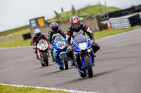 PJ-Motorsport-2019;anglesey-no-limits-trackday;anglesey-photographs;anglesey-trackday-photographs;enduro-digital-images;event-digital-images;eventdigitalimages;no-limits-trackdays;peter-wileman-photography;racing-digital-images;trac-mon;trackday-digital-images;trackday-photos;ty-croes